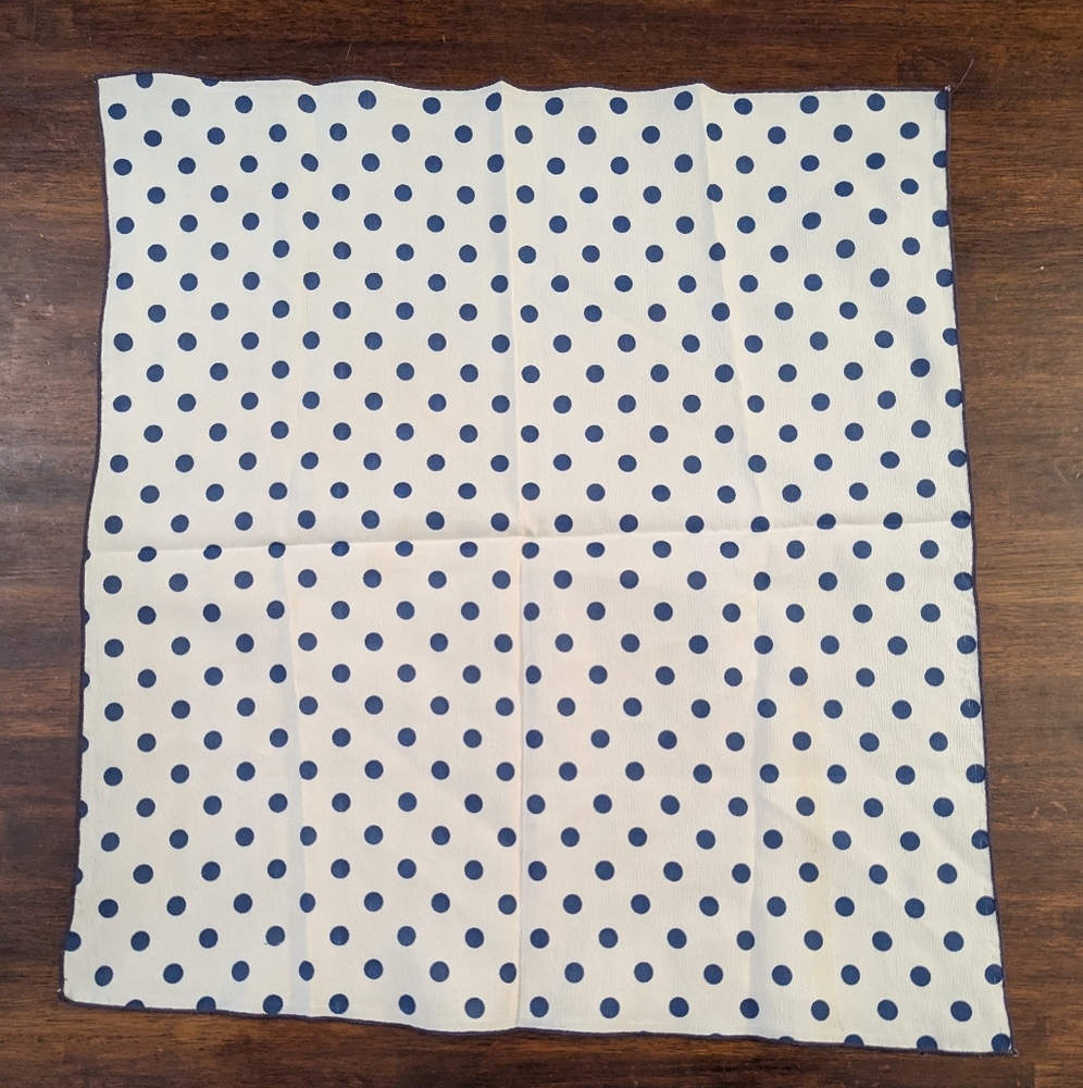 Polka Dot Vintage Scarf in Blue and White